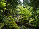 photo thumbnail #8