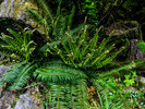 photo thumbnail #11
