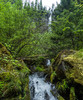 photo thumbnail #13