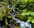photo thumbnail #14