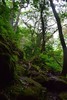 photo thumbnail #14