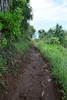 photo thumbnail #12