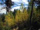 photo thumbnail #4