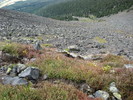 photo thumbnail #10
