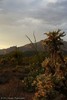 photo thumbnail #4