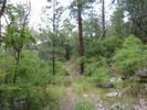photo thumbnail #3
