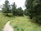 photo thumbnail #3