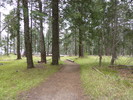 photo thumbnail #4