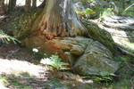 photo thumbnail #11
