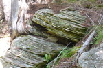photo thumbnail #12