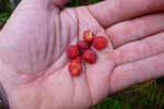photo thumbnail #3