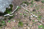 photo thumbnail #15