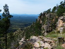 photo thumbnail #1