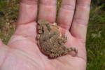 photo thumbnail #11