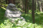 photo thumbnail #9