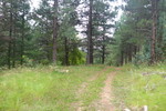 photo thumbnail #3