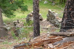 photo thumbnail #4