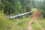 photo thumbnail #6