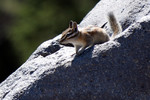photo thumbnail #12