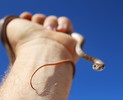 photo thumbnail #1