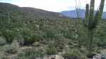 photo thumbnail #10