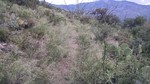 photo thumbnail #14