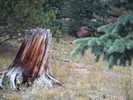 photo thumbnail #1