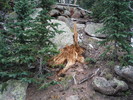 photo thumbnail #3