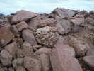 photo thumbnail #6