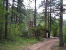 photo thumbnail #2