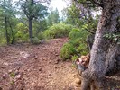 photo thumbnail #12