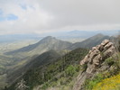photo thumbnail #10