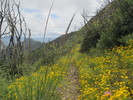 photo thumbnail #11