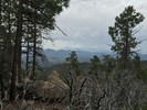 photo thumbnail #2