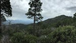photo thumbnail #3