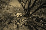 photo thumbnail #10