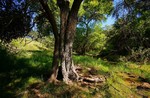 photo thumbnail #14