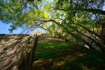photo thumbnail #15
