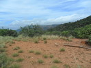 photo thumbnail #11