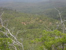 photo thumbnail #12