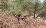 photo thumbnail #1