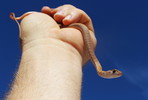 photo thumbnail #2