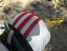 photo thumbnail #2