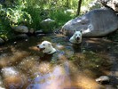 photo thumbnail #6