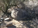 photo thumbnail #9