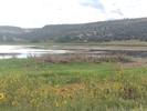 photo thumbnail #15