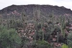 photo thumbnail #11