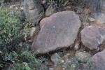 photo thumbnail #15