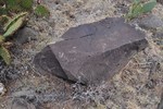 photo thumbnail #3