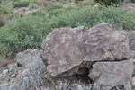photo thumbnail #8